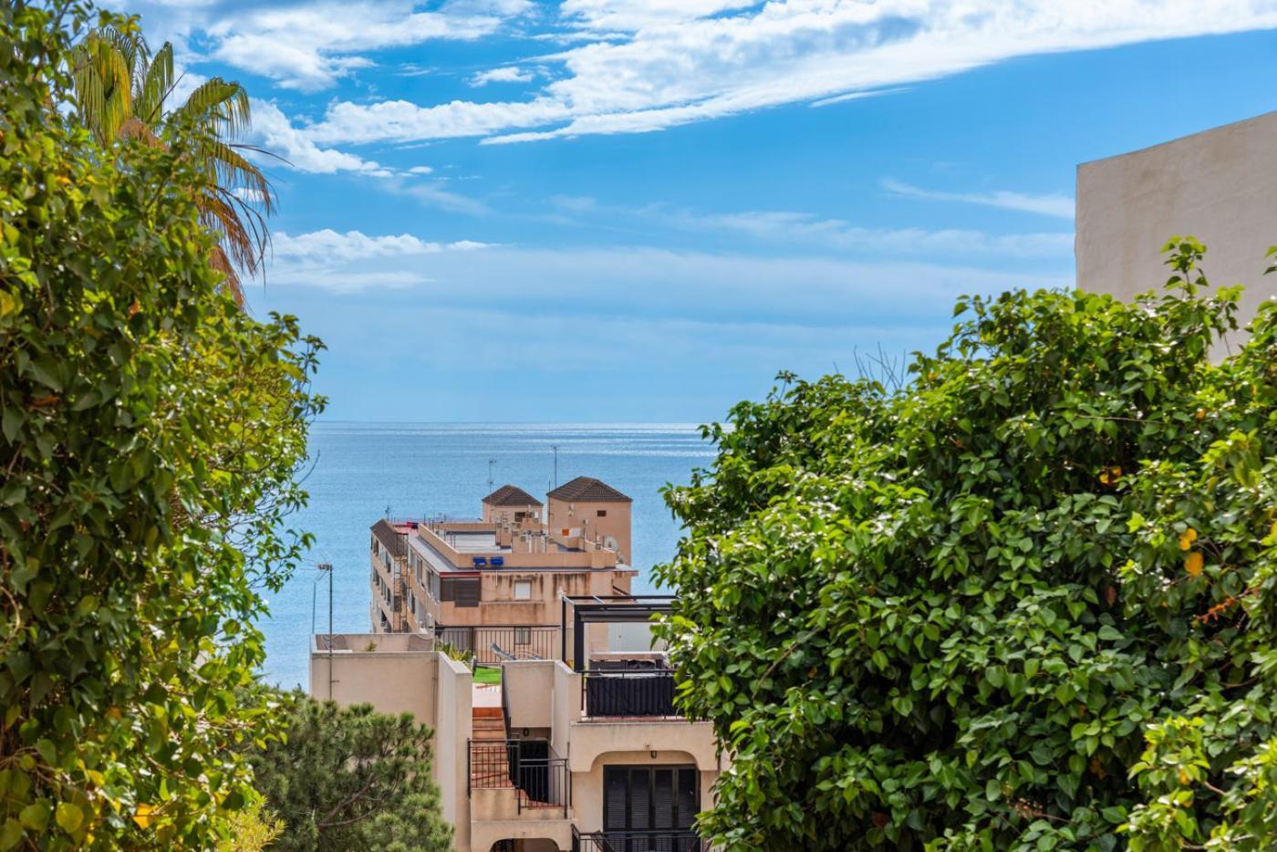 Sea 350M Seaview Apartment Torre Del Moro La Mata  Eksteriør bilde